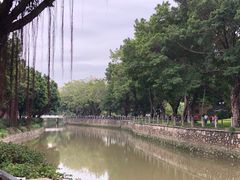 -晓港公园