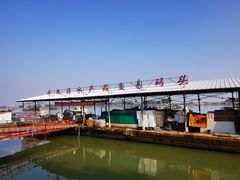 -大湾区中央湿地公园-十九涌