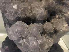 -金钉子远古世界景区