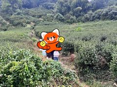 -南北湖风景区