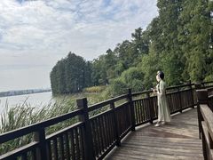 -东湖落雁景区
