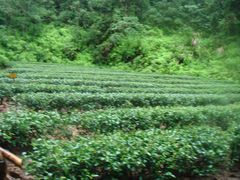 -武夷山风景名胜区-虎啸岩