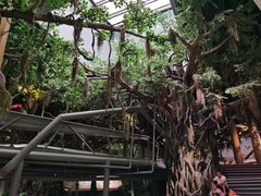 -长江文明馆