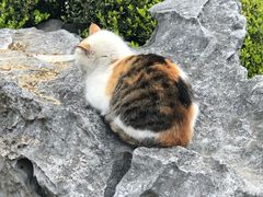 -上海市龙华烈士陵园