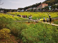 -红山村
