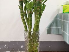 -东川新街市(东川市场店)