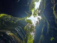 -梭布垭石林景区