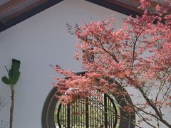 -嘉北郊野公园
