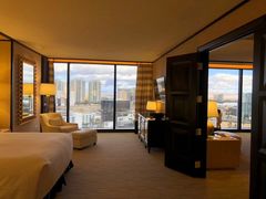 -拉斯维加斯永利酒店