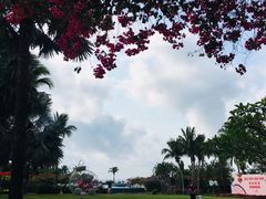 -三亚亚龙湾天域度假酒店