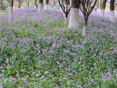 -白塘生态植物园