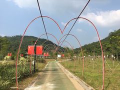 -金山植物公园
