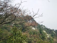 -黔灵山公园