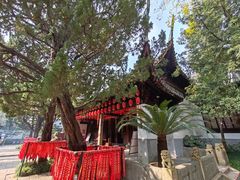 -秋霞圃