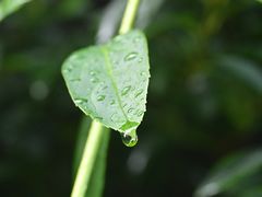 -苏州环秀晓筑养生度假村