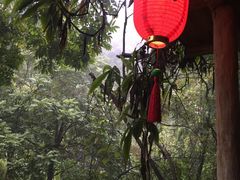 -天门沟九州驿站树上汤泉