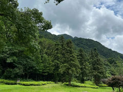 -姑婆山旅游区