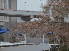 -上海南浦大桥长途旅游客运站