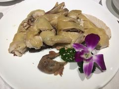 海南文昌鸡-山泉公馆酒家(广州东站店)