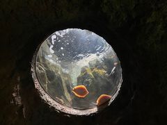 -珠海长隆海洋王国