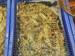 -吴记富苑(朝阳店)