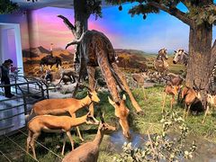 -国家自然博物馆