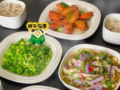 -田螺阿姨自营月嫂·育儿嫂(高新店)