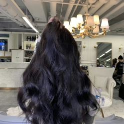 -MYCOLORHARSALON