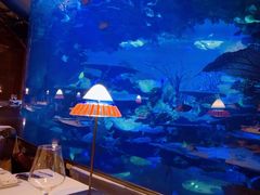 -迪拜帆船酒店海底餐厅