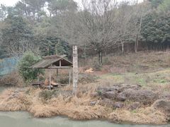 -宁波野生动物园