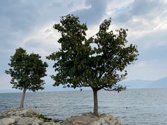 -大理洱海