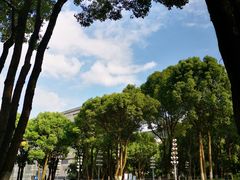 -重庆市江北嘴中央商务区中央公园