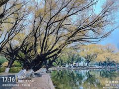 -青城公园