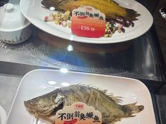 -不倒翁·安徽名菜楼(步行街店)