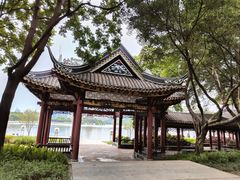 -顺峰山公园