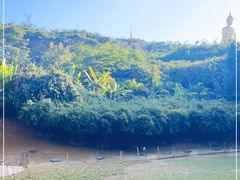 -西双版纳勐泐文化旅游区