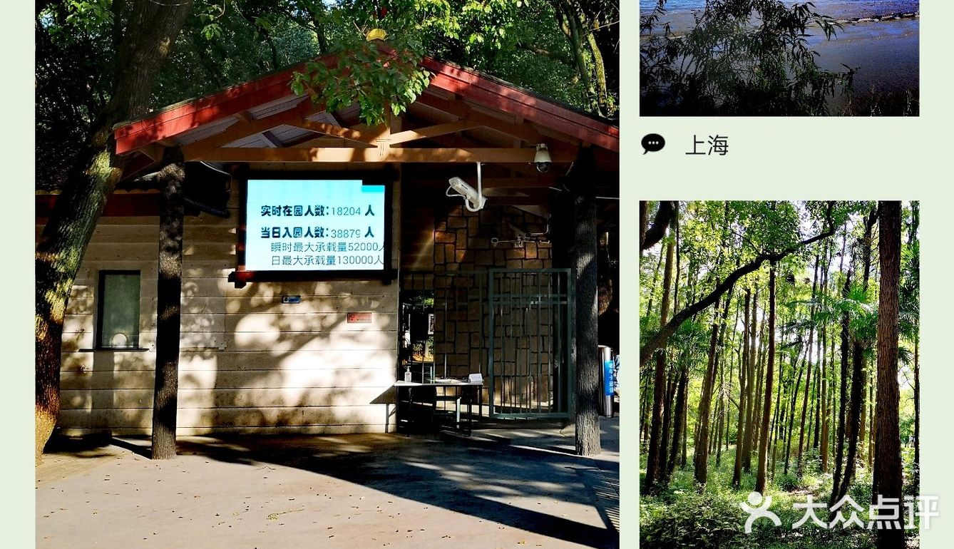 秋意未浓枫难红 千菊争艳百媚娇