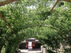 -红螺寺