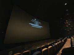 -星河寰宇IMAX影城(星河WORLD·COCO Park店)