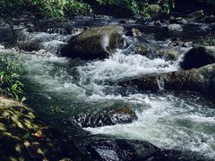 -广州市石门国家森林公园
