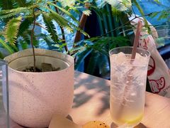 -自由生长植物工作室(深港花卉中心店)