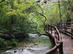 -业华湘·特色菜