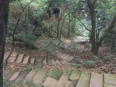 -杭州半山国家森林公园