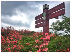 -大围山国家森林公园