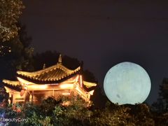 -巴倒烫陆派火锅山庄(南山总店)