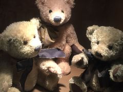 -济州岛泰迪熊博物馆