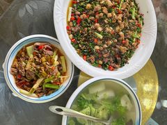 -铁山坪森林公园