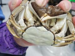 -阳澄湖大闸蟹·琼灵阁牌品牌连锁(吴中总店)