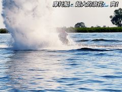 -白洋淀景区