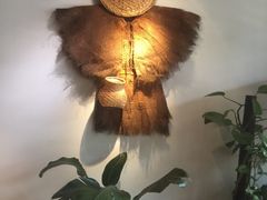 -杨家火锅(国美店)